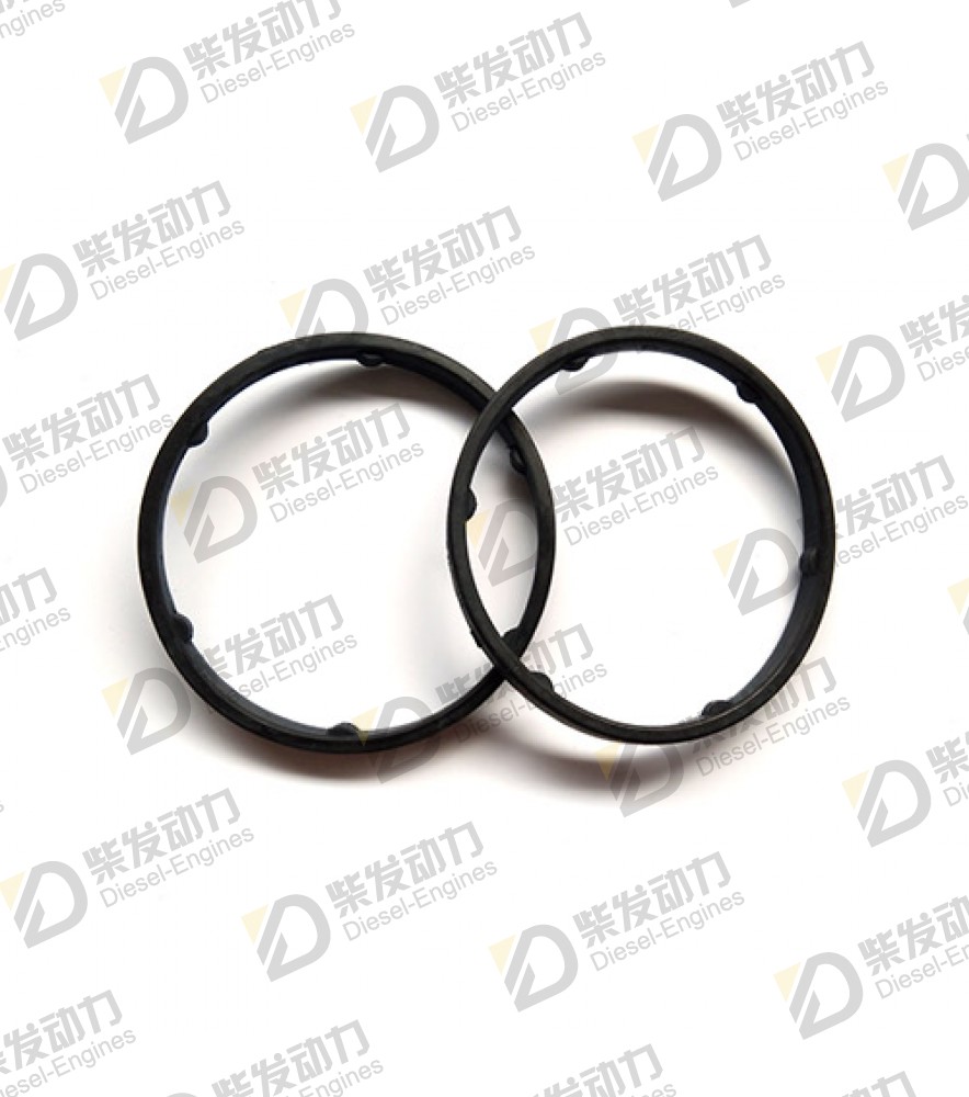 Sealing ring 21423788 